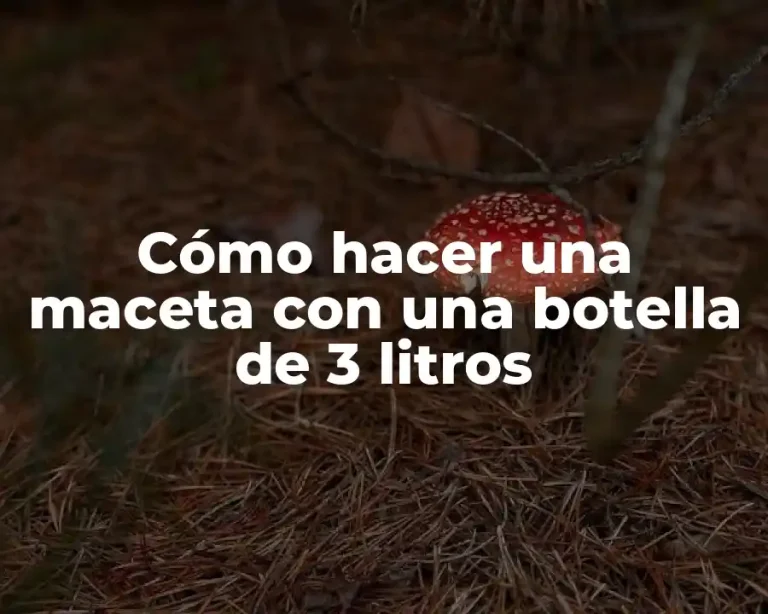 Cómo hacer una maceta con una botella de 3 litros