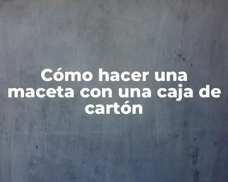 Cómo hacer una maceta con una caja de cartón