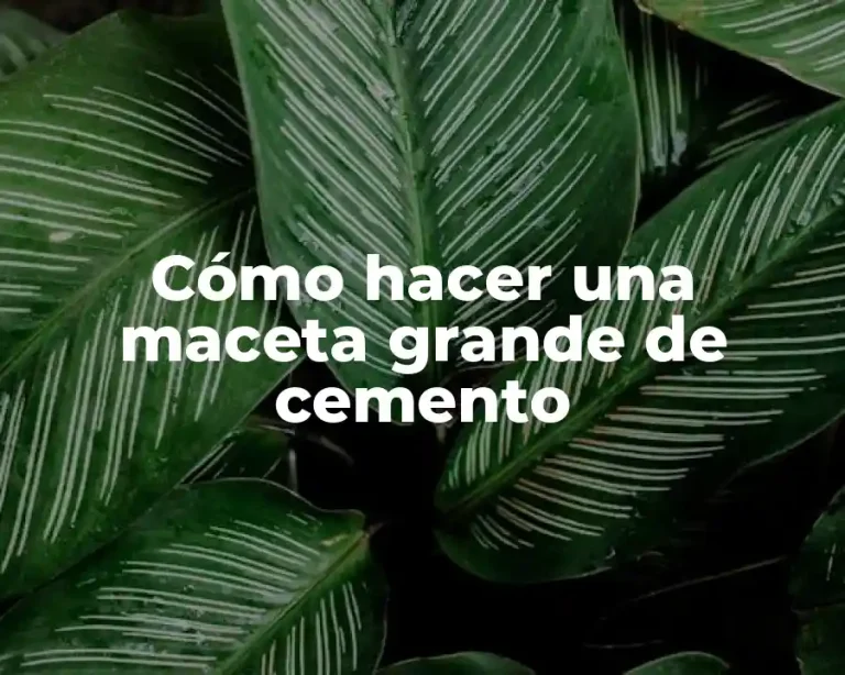 Cómo hacer una maceta grande de cemento