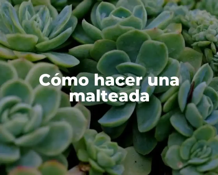 Cómo hacer una malteada