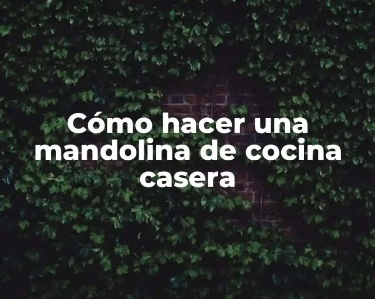 Cómo hacer una mandolina de cocina casera