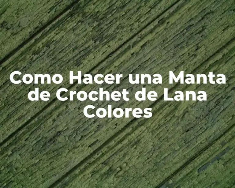 Como Hacer una Manta de Crochet de Lana Colores