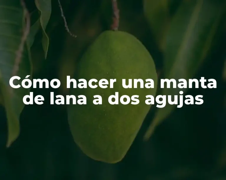 Cómo hacer una manta de lana a dos agujas