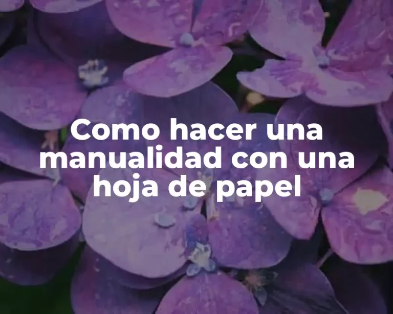Como hacer una manualidad con una hoja de papel
