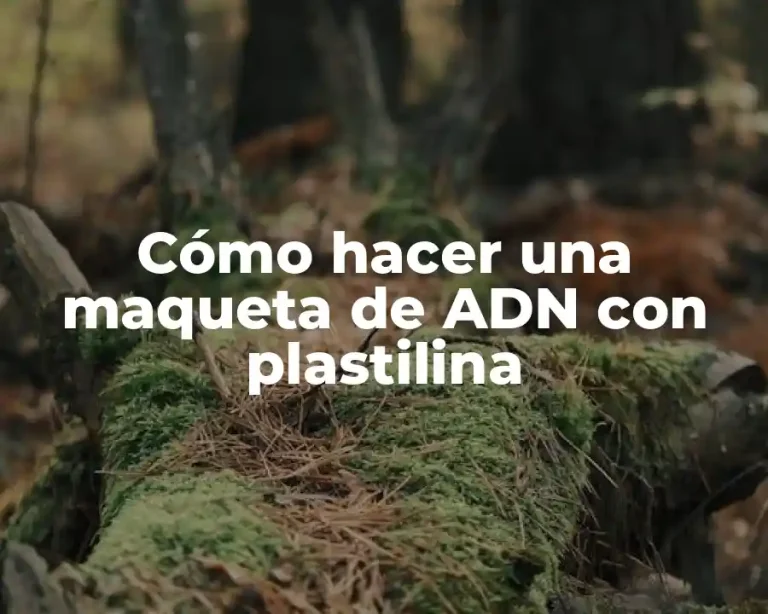 Cómo hacer una maqueta de ADN con plastilina