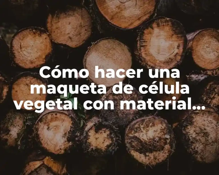 Cómo hacer una maqueta de célula vegetal con material reciclado