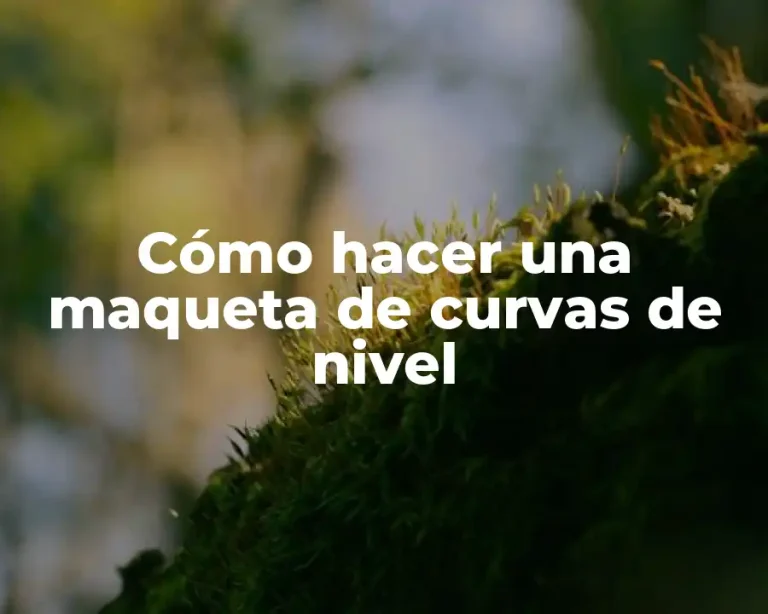 Cómo hacer una maqueta de curvas de nivel