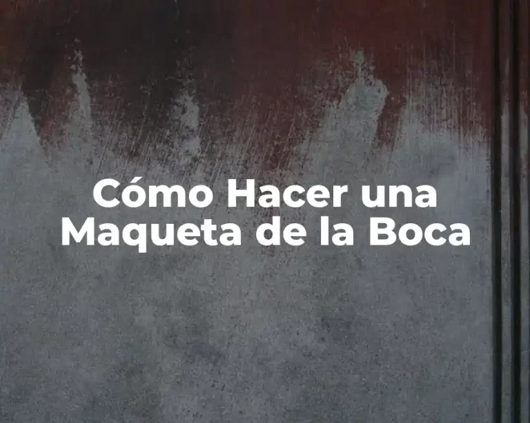 Cómo Hacer una Maqueta de la Boca