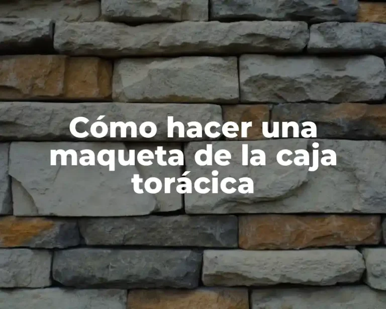 Cómo hacer una maqueta de la caja torácica