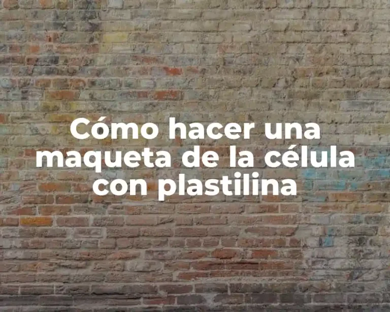 Cómo hacer una maqueta de la célula con plastilina