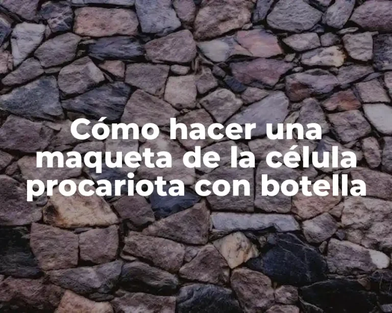 Cómo hacer una maqueta de la célula procariota con botella