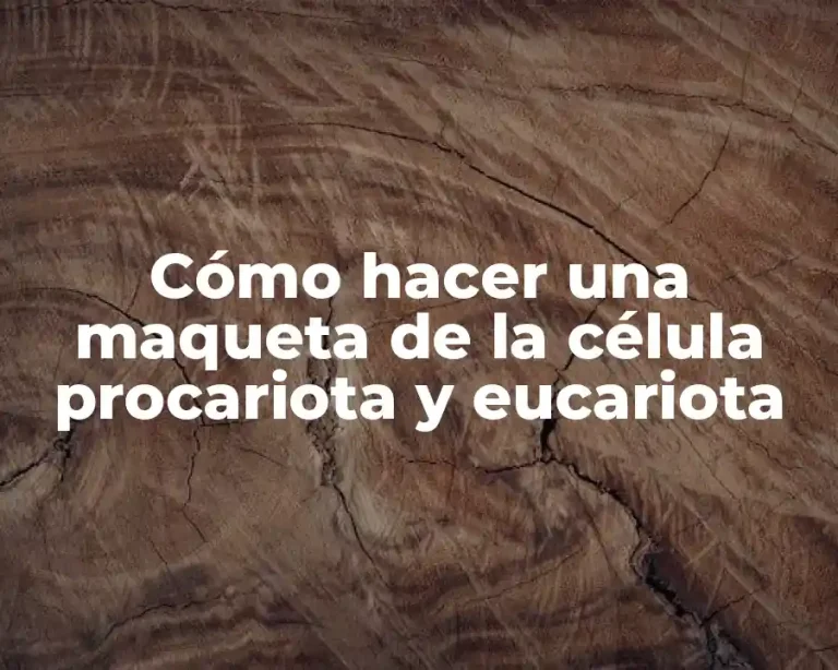 Cómo hacer una maqueta de la célula procariota y eucariota