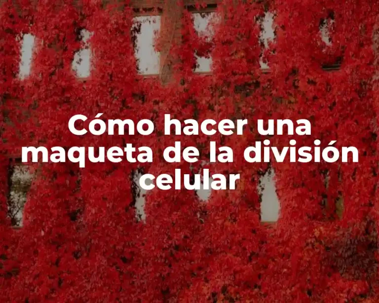 Cómo hacer una maqueta de la división celular