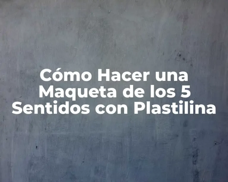 Cómo Hacer una Maqueta de los 5 Sentidos con Plastilina