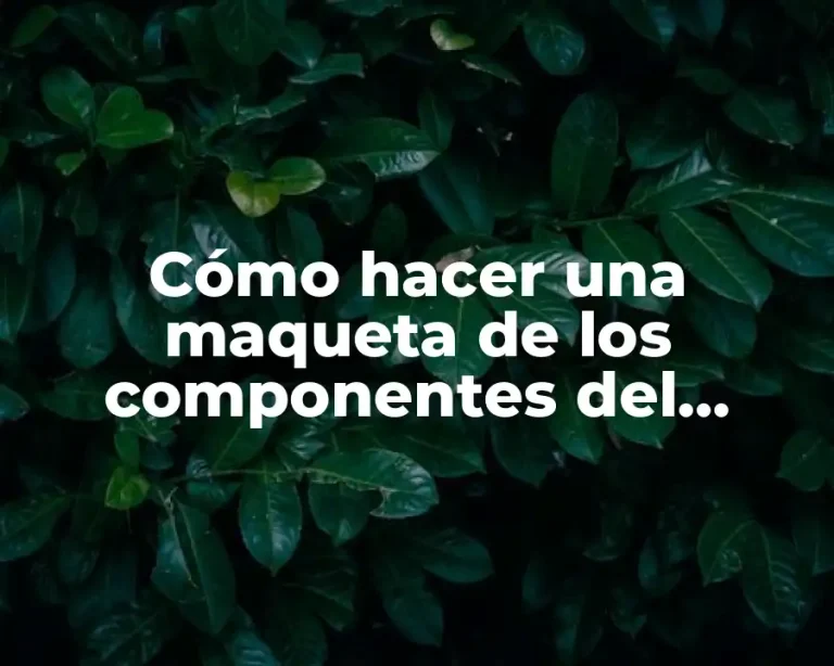 Cómo hacer una maqueta de los componentes del universo