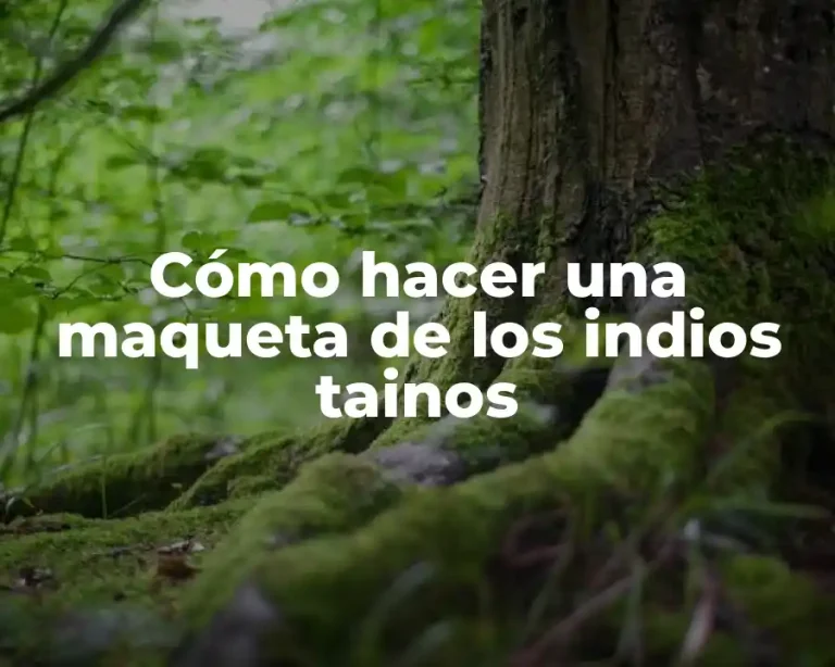 Cómo hacer una maqueta de los indios tainos