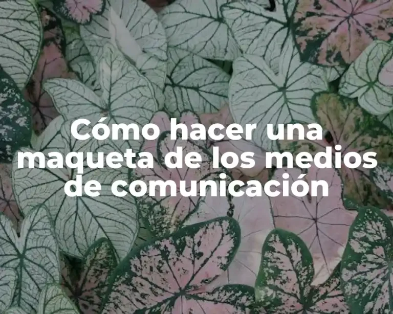 Cómo hacer una maqueta de los medios de comunicación