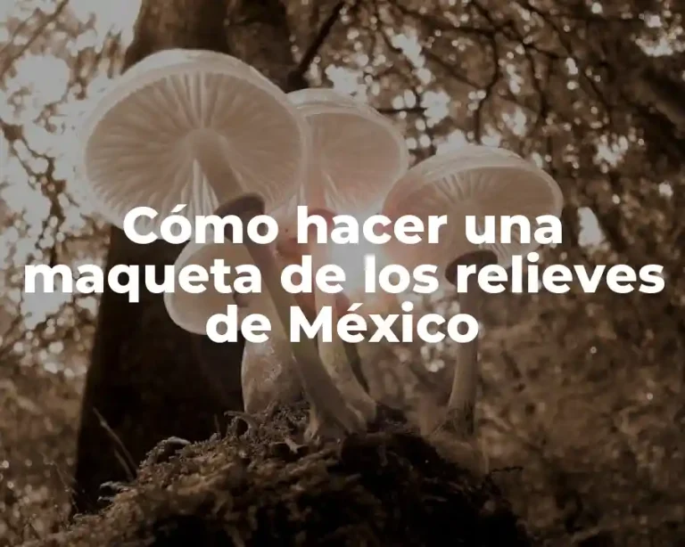 Cómo hacer una maqueta de los relieves de México