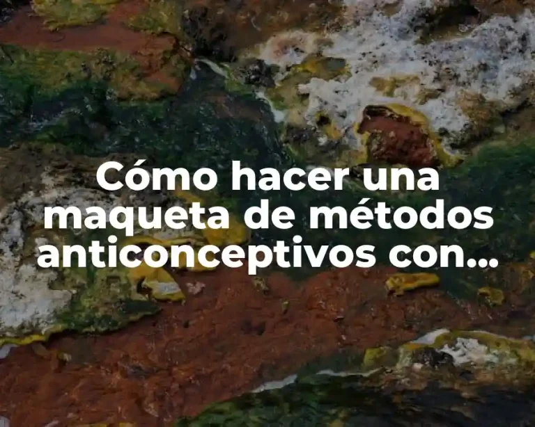 Cómo hacer una maqueta de métodos anticonceptivos con plastilina
