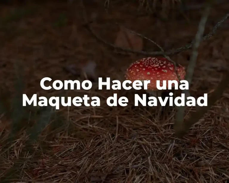 Como Hacer una Maqueta de Navidad