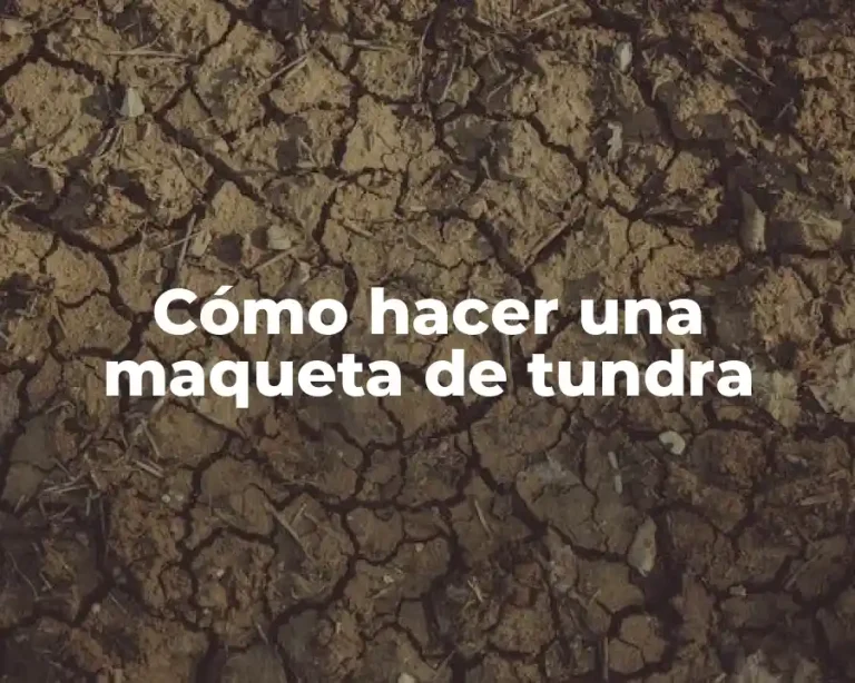 Cómo hacer una maqueta de tundra