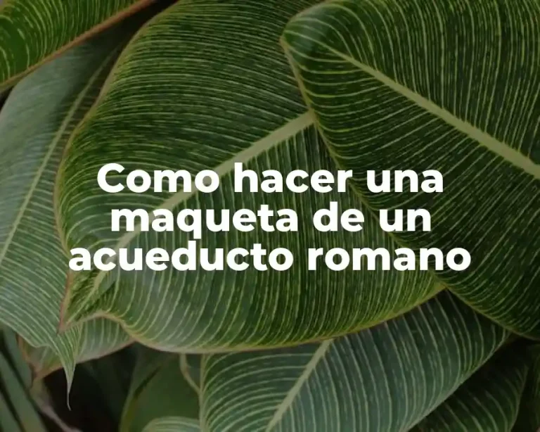 Como hacer una maqueta de un acueducto romano