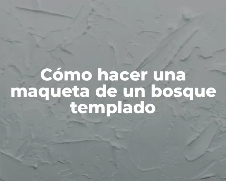 Cómo hacer una maqueta de un bosque templado