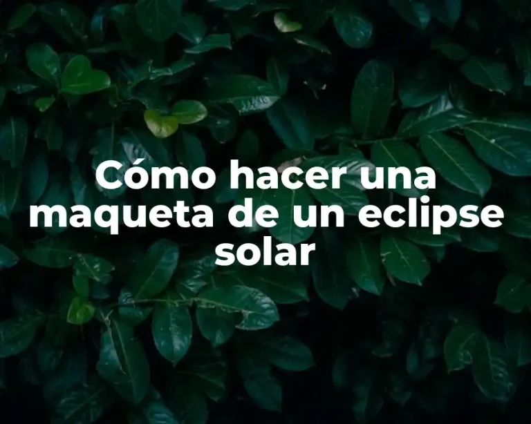 Cómo hacer una maqueta de un eclipse solar
