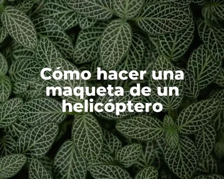 Cómo hacer una maqueta de un helicóptero