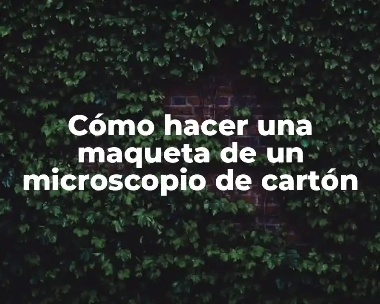 Cómo hacer una maqueta de un microscopio de cartón