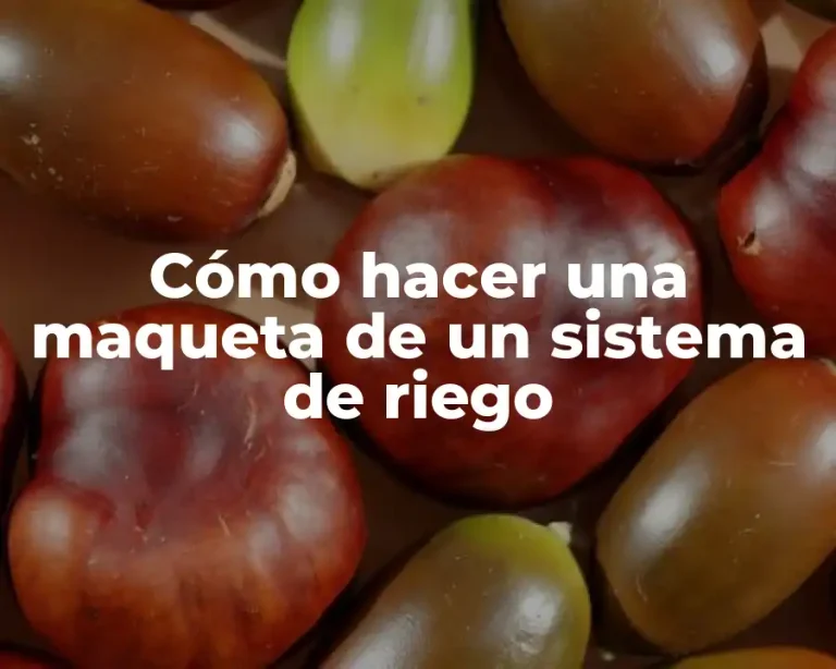 Cómo hacer una maqueta de un sistema de riego
