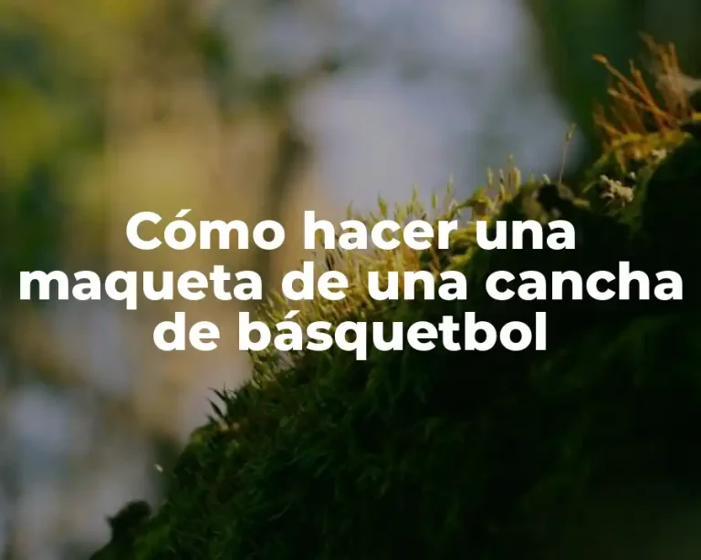 Cómo hacer una maqueta de una cancha de básquetbol