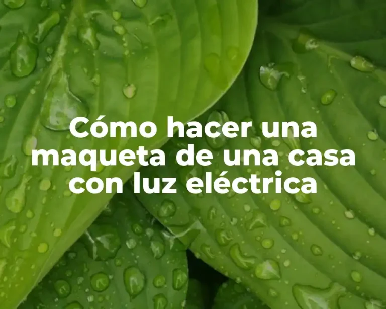 Cómo hacer una maqueta de una casa con luz eléctrica