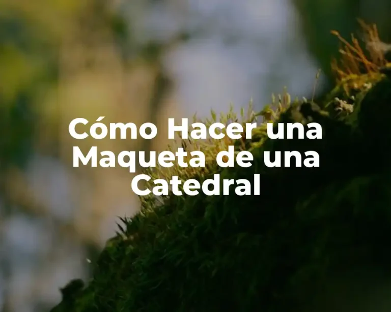 Cómo Hacer una Maqueta de una Catedral