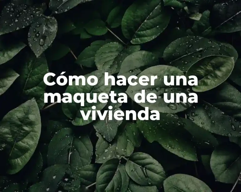 Cómo hacer una maqueta de una vivienda