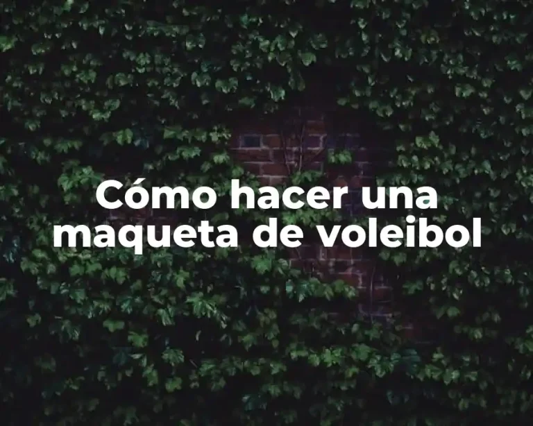 Cómo hacer una maqueta de voleibol