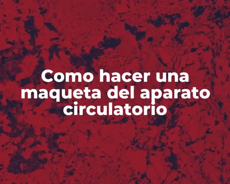 Como hacer una maqueta del aparato circulatorio