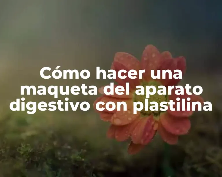 Cómo hacer una maqueta del aparato digestivo con plastilina