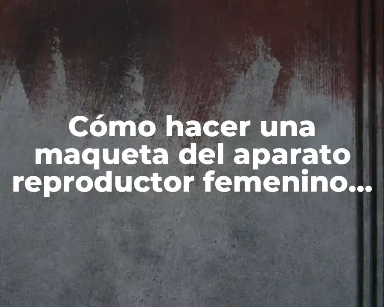 Cómo hacer una maqueta del aparato reproductor femenino en 3D