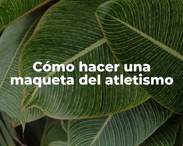 Cómo hacer una maqueta del atletismo