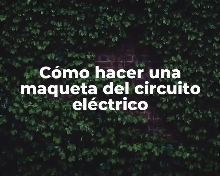 Cómo hacer una maqueta del circuito eléctrico