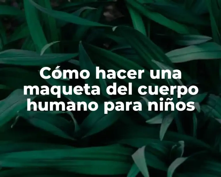 Cómo hacer una maqueta del cuerpo humano para niños