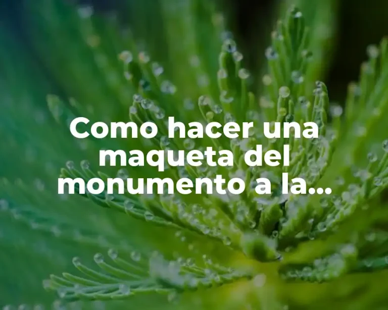 Como hacer una maqueta del monumento a la bandera argentina