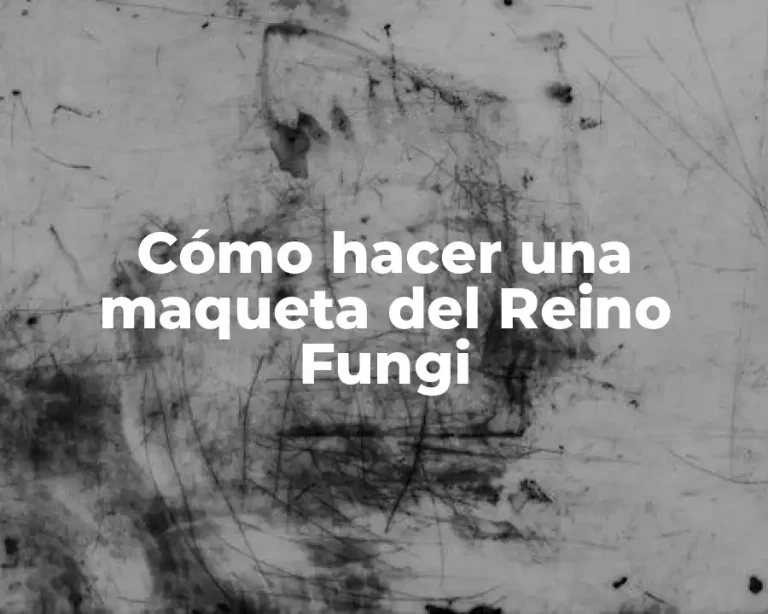 Cómo hacer una maqueta del Reino Fungi