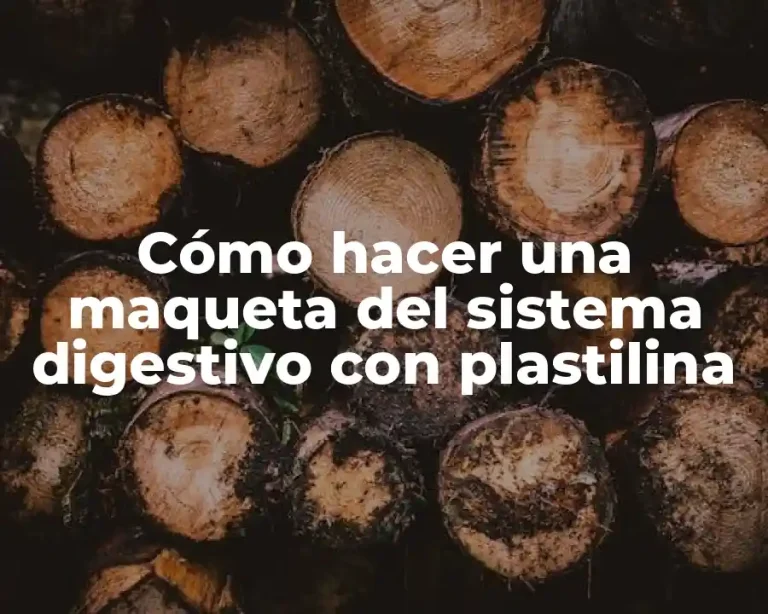 Cómo hacer una maqueta del sistema digestivo con plastilina