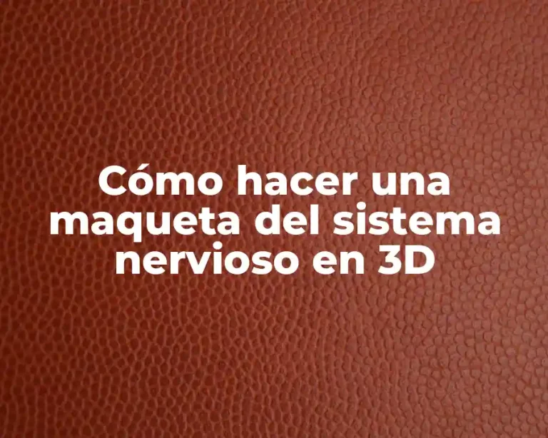 Cómo hacer una maqueta del sistema nervioso en 3D