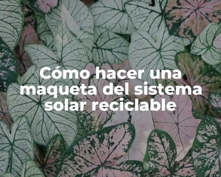 Cómo hacer una maqueta del sistema solar reciclable