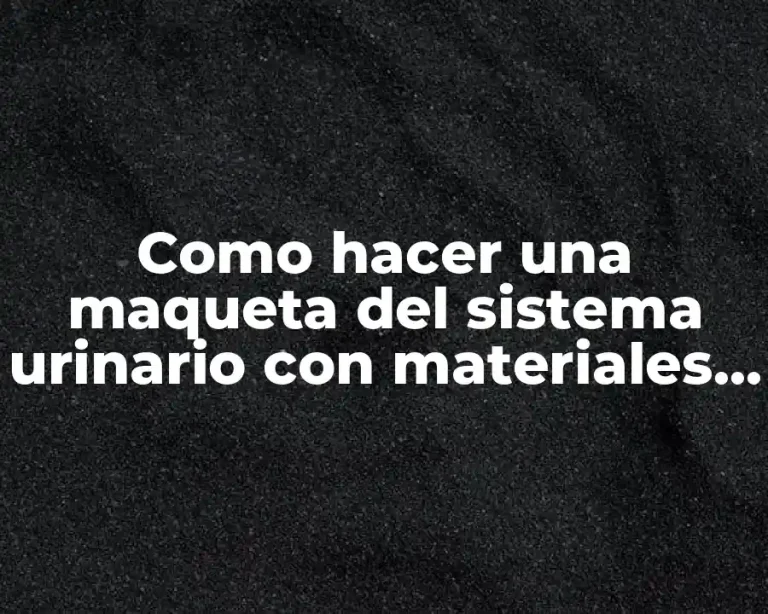 Como hacer una maqueta del sistema urinario con materiales reciclables