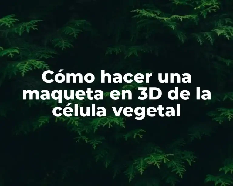 Cómo hacer una maqueta en 3D de la célula vegetal