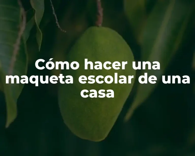 Cómo hacer una maqueta escolar de una casa